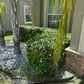 Bush Trimming by The Family Home & Lawn Care reviewed on August 5, 2022