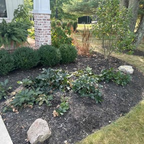 Flower Bed Weeding by David Peters reviewed on May 12, 2022