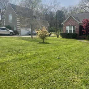 Bush Trimming by Anton Lawn Care reviewed on May 22, 2025