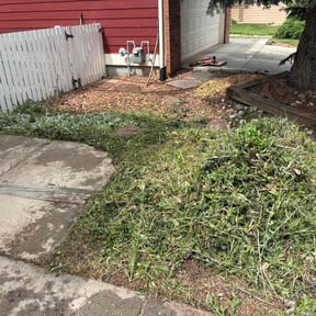Weeding by Premier Lawn Management reviewed on December 21, 2023