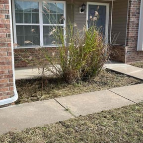 Flower Bed Weeding by 4C's Lawn Care LLC reviewed on June 3, 2025