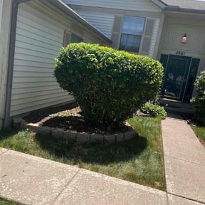 Bush Trimming by NRB Landscape Services reviewed on June 13, 2022