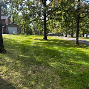 Leaf Removal by Lawns 4 Less reviewed on June 10, 2025