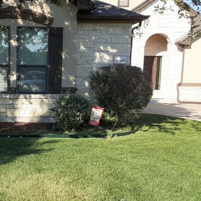Bush Trimming by Brent Hoover reviewed on June 11, 2022