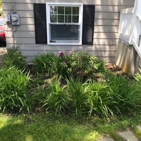 Flower Bed Weeding by Legit Lawn Care Plus reviewed on April 20, 2022