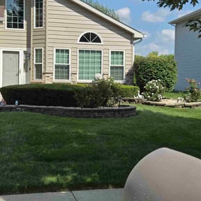 Bush Trimming by Silva lawn care reviewed on October 9, 2022
