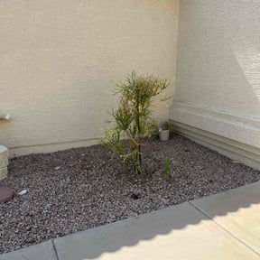 Bush Trimming by Rodriguez Lawn Care LLC reviewed on April 5, 2023