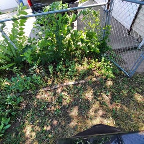 Cleanups by The Maintenance Department LLC reviewed on May 11, 2022