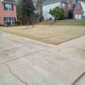 Bush Trimming by White's premium landscaping services reviewed on September 23, 2024