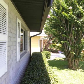 Bush Trimming by Affordable lawn care reviewed on June 2, 2022