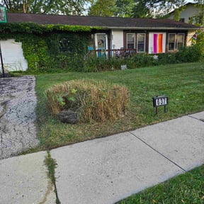 Bush Trimming by Luckys Lawn Care reviewed on December 6, 2024
