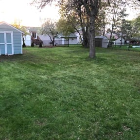 Cleanups by K-McG&#039;S Outdoor solutions reviewed on October 30, 2024