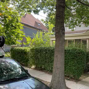 Bush Trimming by OT Lawn Care and Property Management reviewed on April 21, 2022