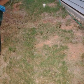 Cleanups by Mott's lawns reviewed on July 3, 2020