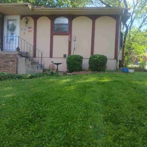 Bush Trimming by Yard Boss Lawn & Landscape LLC reviewed on July 9, 2022