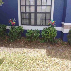 Bush Trimming by GR United lawn care llc reviewed on June 15, 2020