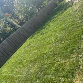 Bush Trimming by Black Creek Landscaping Service reviewed on June 22, 2022