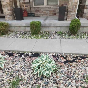 Bush Trimming by Kenosha Lawn Care reviewed on October 14, 2024