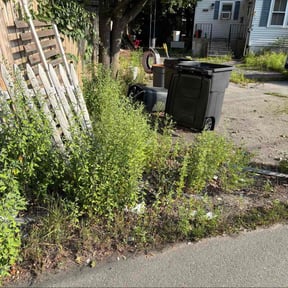 Cleanups by Grass Experts reviewed on July 28, 2022