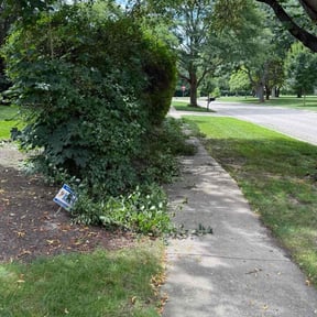 Bush Trimming by Aps reviewed on July 25, 2025