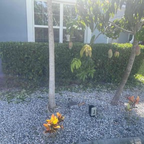 Bush Trimming by Santos Galeno reviewed on March 6, 2022