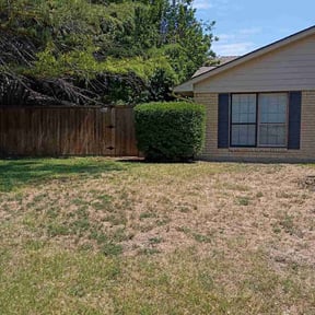 Bush Trimming by Landscape reviewed on April 13, 2025