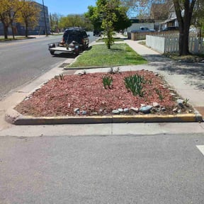 Flower Bed Weeding by The Lawnmower Man reviewed on August 17, 2024