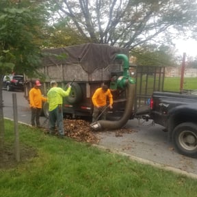 Leaf Removal by Sebastian Damaso reviewed on July 15, 2022