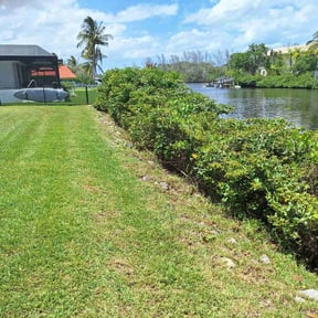 Bush Trimming by Affordable Landscaping reviewed on January 11, 2025
