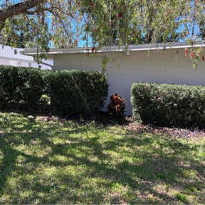Bush Trimming by Cory's Construction reviewed on June 12, 2022