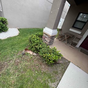 Bush Trimming by All pro lawns and landscaping llc reviewed on October 17, 2022