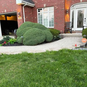Bush Trimming by D&D Reliable Services LLC reviewed on November 29, 2024
