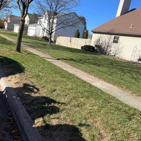Leaf Removal by Da Munchez/ High 5 landscaping reviewed on July 9, 2022