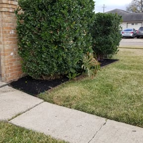 Mulching by DC Painters and More reviewed on July 18, 2022