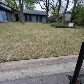 Leaf Removal by A Lawn Service reviewed on December 21, 2024