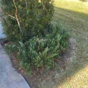 Flower Bed Weeding by Greeley Greenscapes reviewed on April 3, 2025