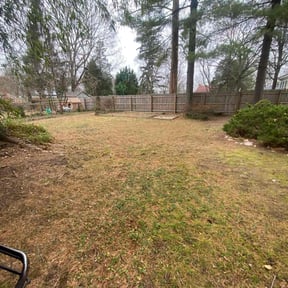Leaf Removal by YardPro reviewed on October 19, 2022