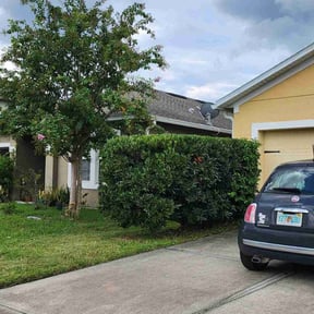 Bush Trimming by TruGreen LawnCare reviewed on July 17, 2025