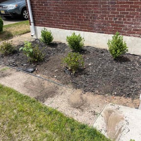 Flower Bed Weeding by JP Landscape reviewed on February 25, 2022