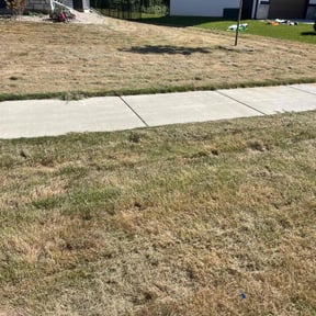 Cleanups by Jay Jay & W Landscaping, LLC reviewed on June 11, 2022