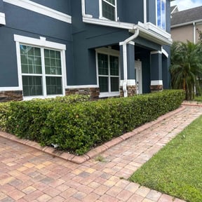 Bush Trimming by DLAWN SERVICE LLC reviewed on February 22, 2025