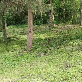 Cleanups by One Tuff Mama Roofing and Landscaping reviewed on May 11, 2022