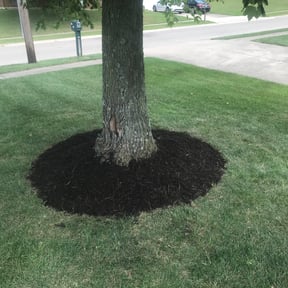 Mulching by Jose&Jose Landscaping reviewed on June 12, 2022