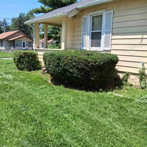 Bush Trimming by Michael Shelton reviewed on August 3, 2022