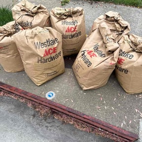 Leaf Removal by Mos Landscaping Service reviewed on July 5, 2022