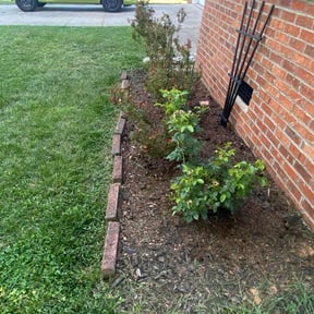 Bush Trimming by Jeremy Jobs reviewed on May 17, 2022