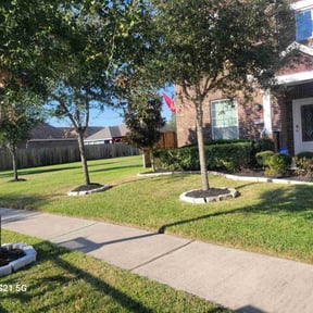 Flower Bed Weeding by David landscaping services reviewed on March 10, 2025