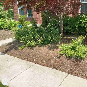 Flower Bed Weeding by HI-POWER LLC reviewed on November 17, 2021