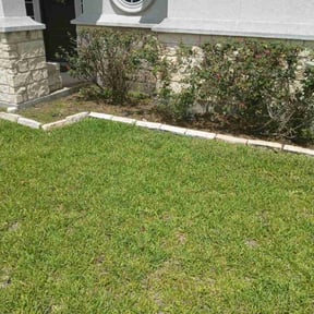 Bush Trimming by Wyatt's Lawn Care /Bad MowFos reviewed on May 7, 2025