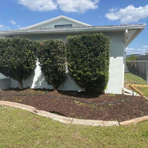Bush Trimming by Nates Lawn Service reviewed on June 10, 2022